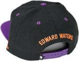 Big Boy Edward Waters Tigers S144 Mens Snapback Cap [Black]