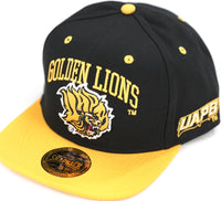 Big Boy Arkansas At Pine Bluff Golden Lions S144 Mens Snapback Cap [Black]