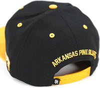 Big Boy Arkansas At Pine Bluff Golden Lions S144 Mens Snapback Cap [Black]