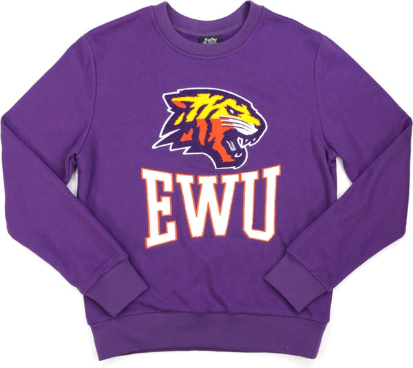 Big Boy Edward Waters Tigers S4 Mens Sweatshirt [Purple]