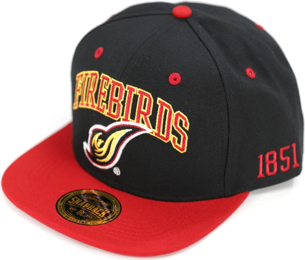 Big Boy District Of Columbia Firebirds S144 Mens Snapback Cap [Black - Adjustable Size]