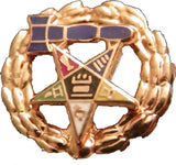 Eastern Star Past Matron Pinback Small Lapel Pin [Gold]