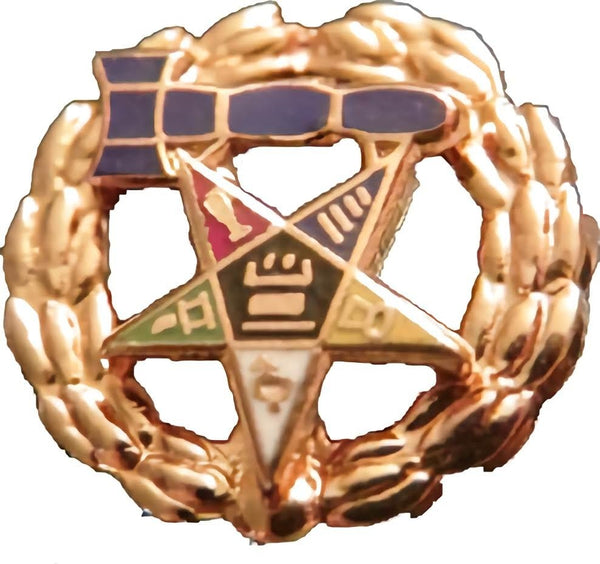 Eastern Star Past Matron Pinback Small Lapel Pin [Gold]