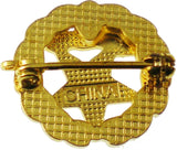 Eastern Star Past Matron Pinback Small Lapel Pin [Gold]