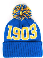 Big Boy Albany State Golden Rams S255 Beanie With Ball [Royal Blue]
