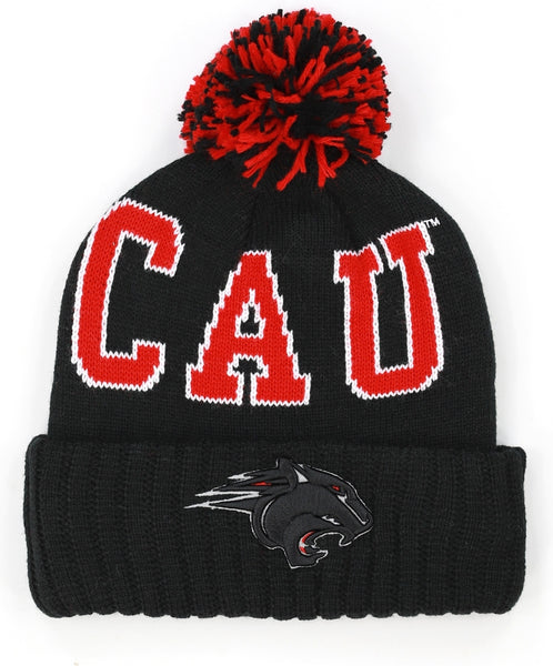Big Boy Clark Atlanta Panthers S255 Beanie With Ball [Black]