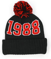 Big Boy Clark Atlanta Panthers S255 Beanie With Ball [Black]
