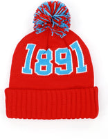 Big Boy Delaware State Hornets S255 Beanie With Ball [Red]