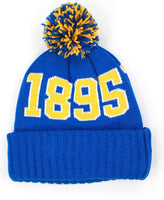 Big Boy Fort Valley State Wildcats S255 Beanie With Ball [Royal Blue]