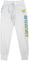 Big Boy Fort Valley State Wildcats S5 Womens Sweatpants [Grey]