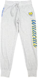 Big Boy Fort Valley State Wildcats S5 Womens Sweatpants [Grey]