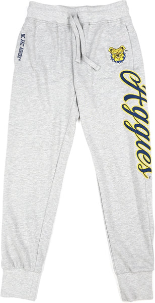Big Boy North Carolina A&T Aggies S5 Womens Sweatpants [Grey]