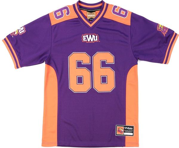 Big Boy Edward Waters Tigers S15 Mens Football Jersey [Purple]