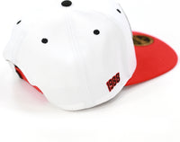 Big Boy Clark Atlanta Panthers S145 Mens Snapback Cap [White]
