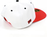 Big Boy Clark Atlanta Panthers S145 Mens Snapback Cap [White]