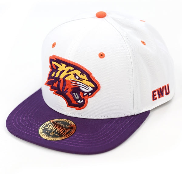 Big Boy Edward Waters Tigers S145 Mens Snapback Cap [White]