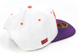 Big Boy Edward Waters Tigers S145 Mens Snapback Cap [White]