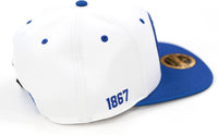 Big Boy Fayetteville State Broncos S145 Mens Snapback Cap [White]