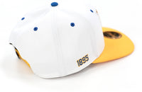 Big Boy Fort Valley State Wildcats S145 Mens Snapback Cap [White]