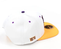 Big Boy Prairie View A&M Panthers S145 Mens Snapback Cap [White]