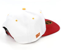 Big Boy Shaw Bears S145 Mens Snapback Cap [White]