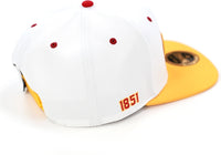 Big Boy District Of Columbia Firebirds S145 Mens Snapback Cap [White]