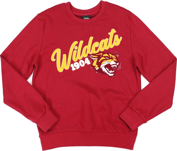Big Boy Bethune-Cookman Wildcats S5 Mens Crewneck Sweatshirt [Crimson Red]