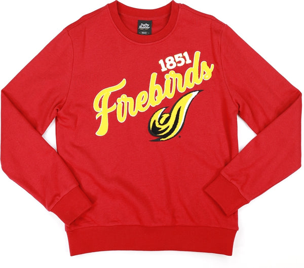 Big Boy District Of Columbia Firebirds S5 Mens Crewneck Sweatshirt [Crimson Red]