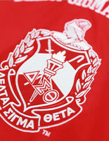 Big Boy Delta Sigma Theta Divine 9 S16 Football Jersey [Red]