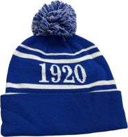 Buffalo Dallas Zeta Phi Beta Striped Skull Cap [Blue]