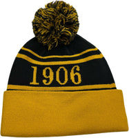 Buffalo Dallas Alpha Phi Alpha Striped Skull Cap [Gold]