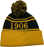Buffalo Dallas Alpha Phi Alpha Striped Skull Cap [Gold]