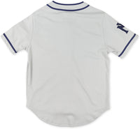 Big Boy Brooklyn Eagles S2 Heritage Adult Baseball Jersey [Grey]