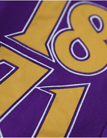 Big Boy Alcorn State Braves S12 State Racing Twill Adult Jacket [Purple]