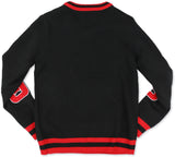 Big Boy Delta Sigma Theta Divine 9 S5 V-Neck Sweater [Black]