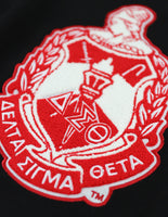 Big Boy Delta Sigma Theta Divine 9 S5 V-Neck Sweater [Black]