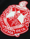 Big Boy Delta Sigma Theta Divine 9 S5 V-Neck Sweater [Black]