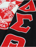 Big Boy Delta Sigma Theta Divine 9 S5 V-Neck Sweater [Black]