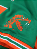 Big Boy Florida A&M Rattlers S16 Football Jersey [Green]