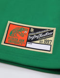 Big Boy Florida A&M Rattlers S16 Football Jersey [Green]