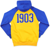 Big Boy Albany State Golden Rams S11 Adult Hoodie [Gold]