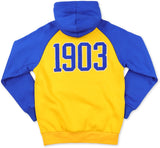 Big Boy Albany State Golden Rams S11 Adult Hoodie [Gold]
