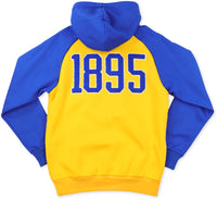 Big Boy Fort Valley State Wildcats S11 Adult Hoodie [Gold]