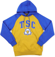 Big Boy Tallahassee Eagles S11 Adult Hoodie [Old Gold]