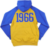 Big Boy Tallahassee Eagles S11 Adult Hoodie [Old Gold]