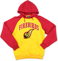 Big Boy District Of Columbia Firebirds S11 Adult Hoodie [Gold]