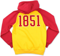 Big Boy District Of Columbia Firebirds S11 Adult Hoodie [Gold]