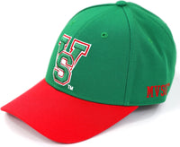 Big Boy Mississippi Valley State Delta Devils S150 Adult Ball Cap [Green]
