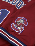 Big Boy South Carolina State Bulldogs S16 Adult Football Jersey [Maroon]