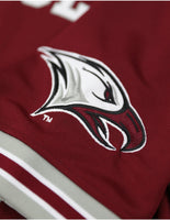 Big Boy North Carolina Central Eagles S16 Adult Football Jersey [Maroon]